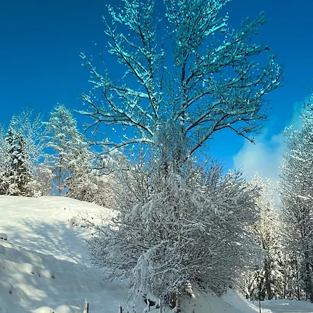 Poelstaler Berghuette