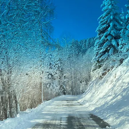 Διαμέρισμα Poelstaler Berghuette Oberzeiring