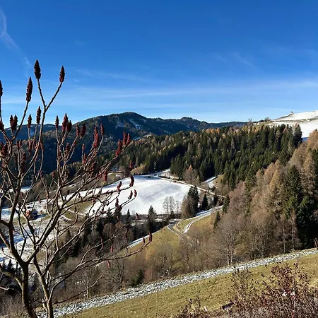 Apartmán Poelstaler Berghuette Oberzeiring