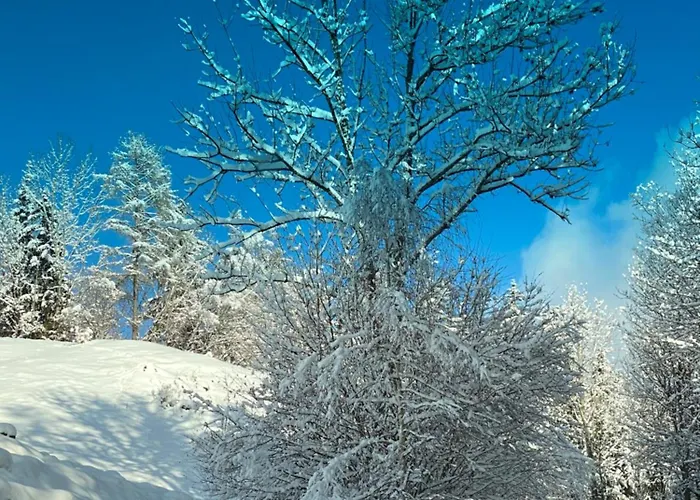 Poelstaler Berghuette