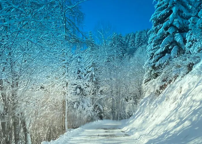 公寓 Poelstaler Berghuette Oberzeiring